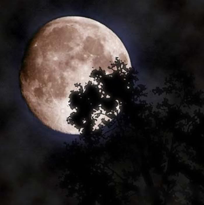 beautiful moon pictures and wallpapers21