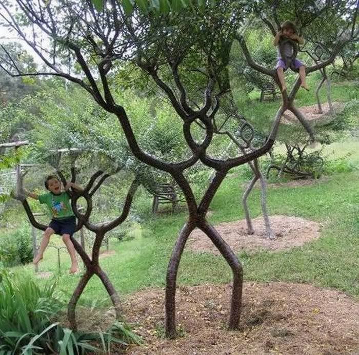 FUNNY PICTURES OF TREE4