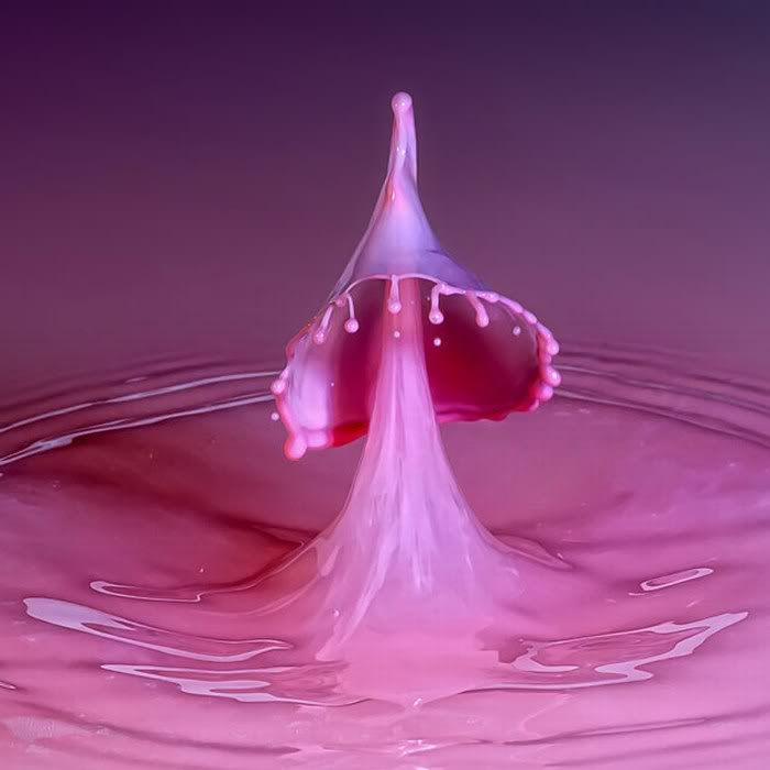 awesome water drops funny pictures1