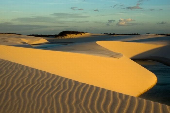 Beautiful Oasis in Desert Pictures 8