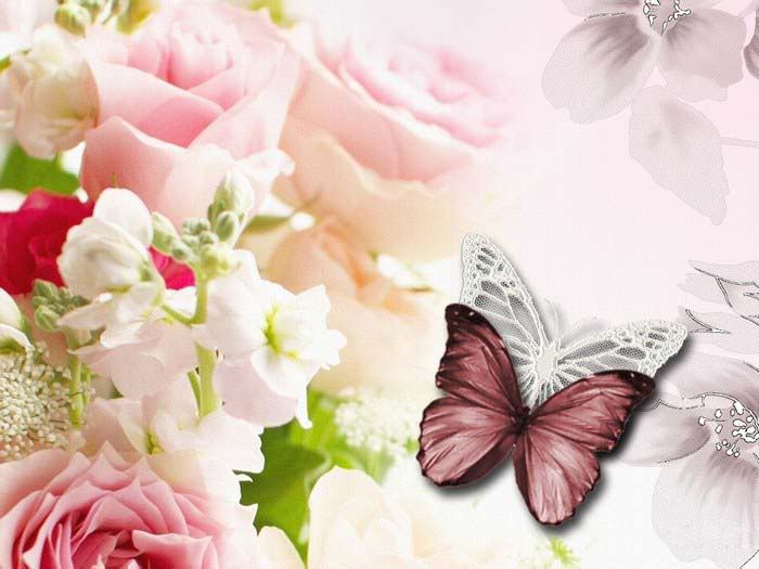 beautiful butterflies and flowers wallpapers4