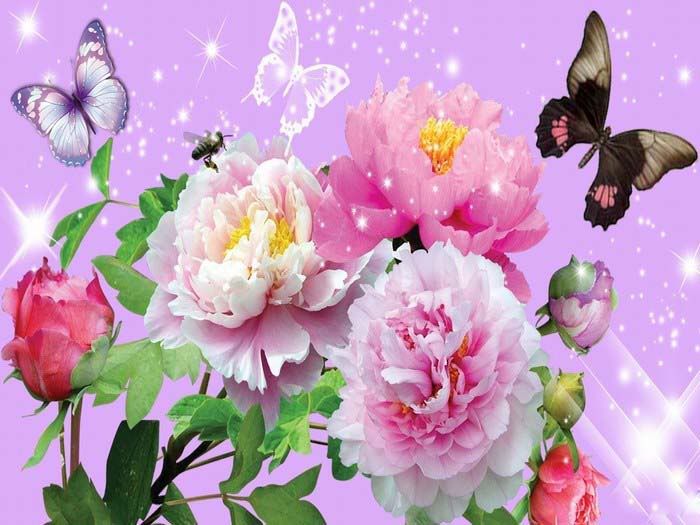 beautiful butterflies and flowers wallpapers5