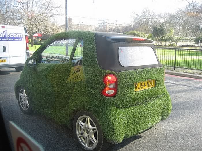 Amazing Grass - Covered Cars Pictures