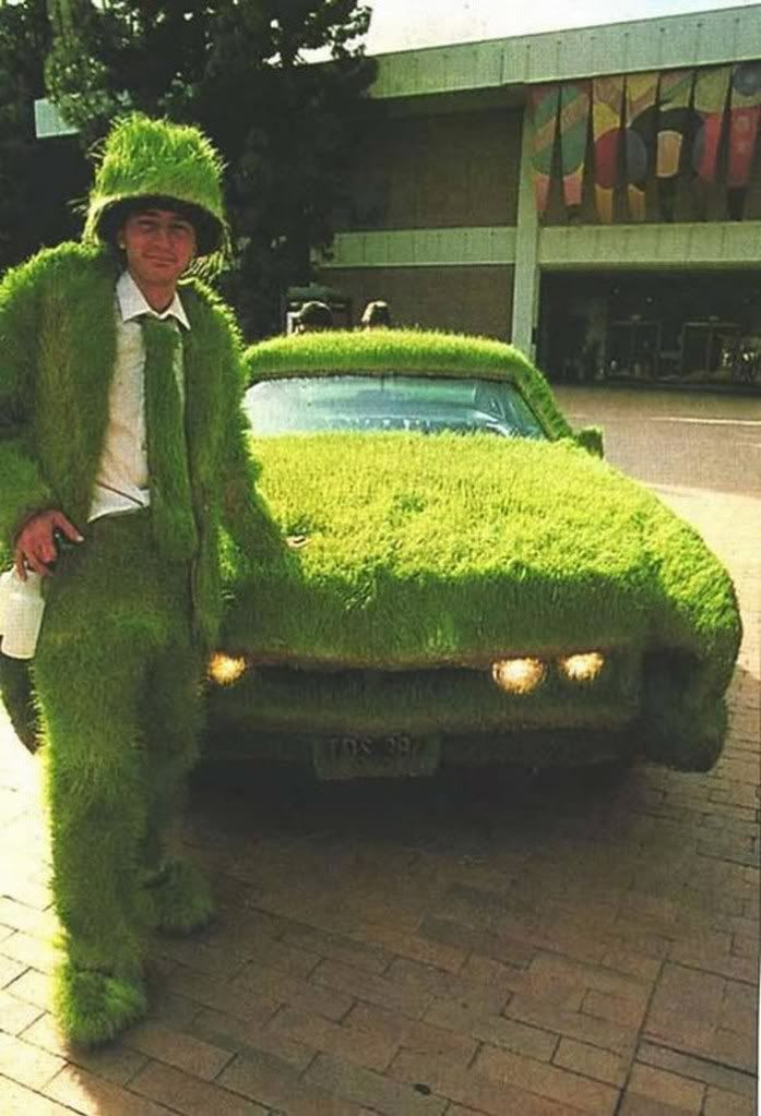 Amazing Grass - Covered Cars Pictures 1