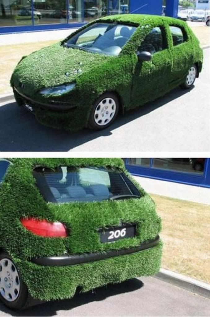 Amazing Grass - Covered Cars Pictures 2