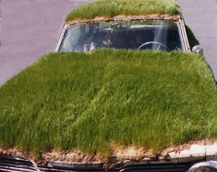Amazing Grass - Covered Cars Pictures 3