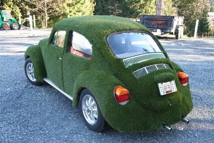 Amazing Grass - Covered Cars Pictures 5