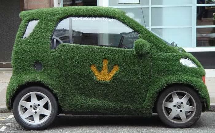 Amazing Grass - Covered Cars Pictures 6