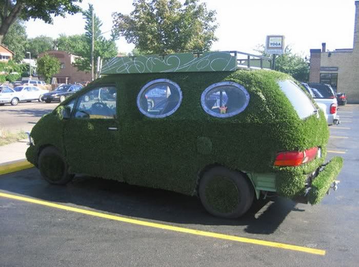 Amazing Grass - Covered Cars Pictures 7