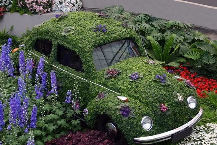 Amazing Grass - Covered Cars Pictures 9
