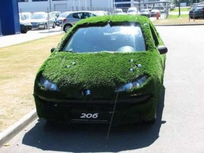 Amazing Grass - Covered Cars Pictures 10