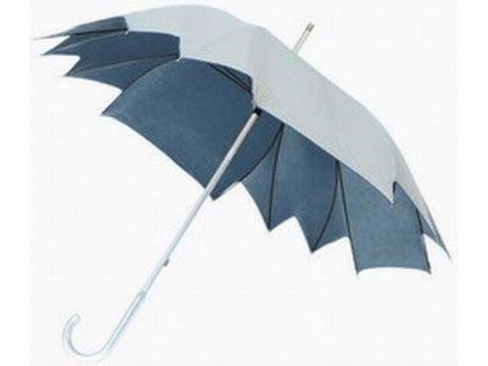 funny umbrellas pictures8