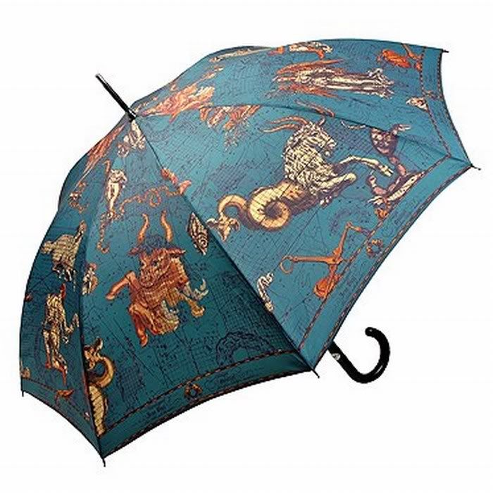 funny umbrellas pictures15