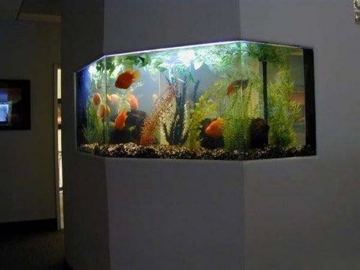 Aquariums As Interior Design Pictures 19