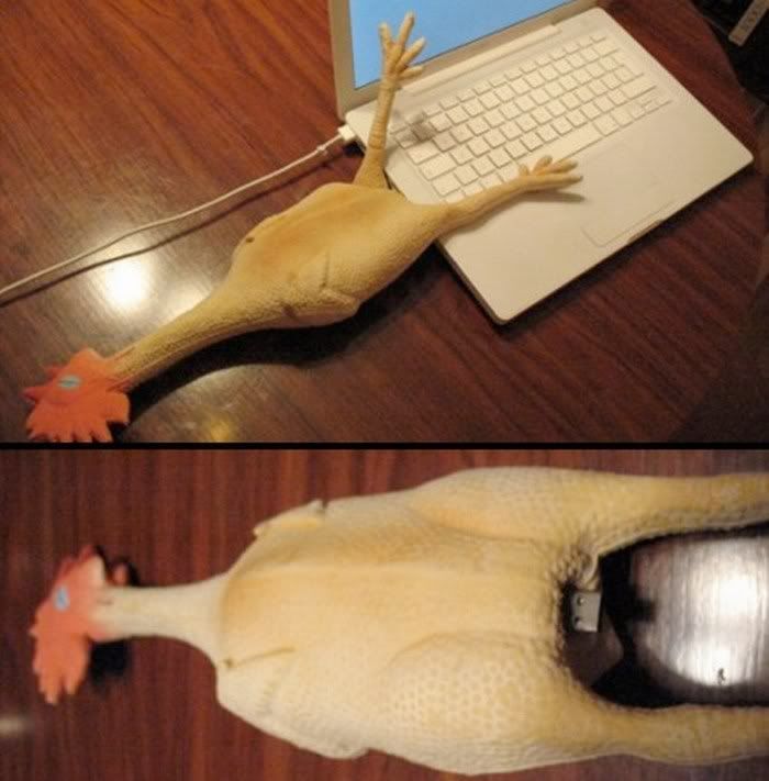 funny pen drive pictures2