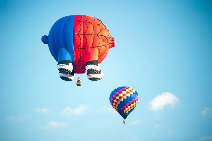 awesome air balloon pictures9