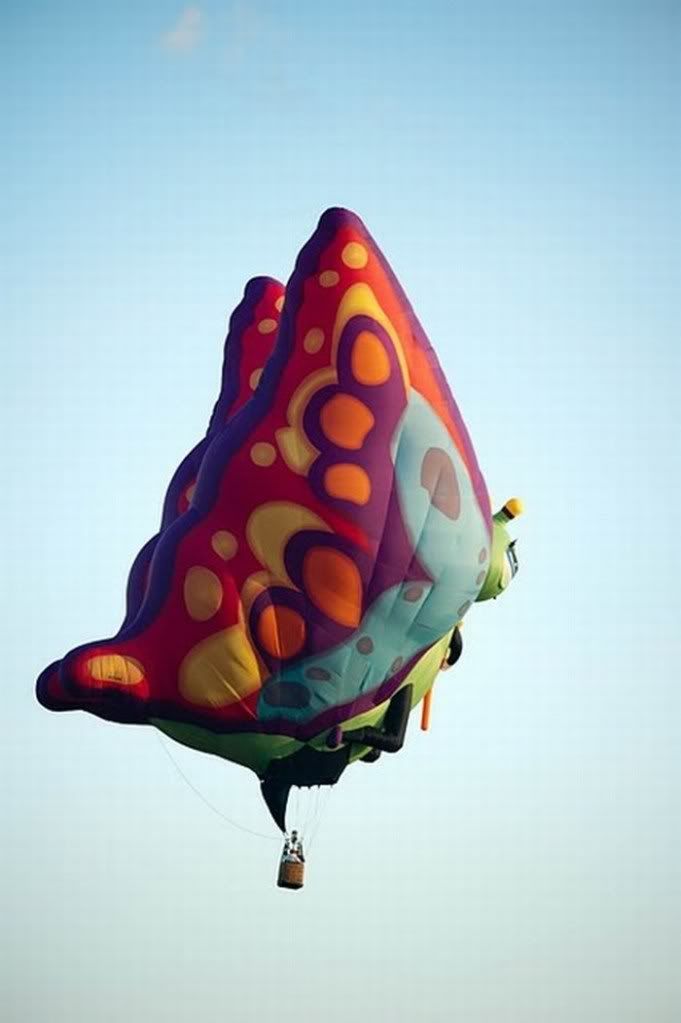 awesome air balloon pictures12