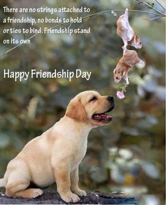 awesome and beautiful pictures of friendship day4