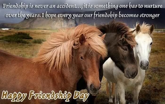 awesome and beautiful pictures of friendship day9