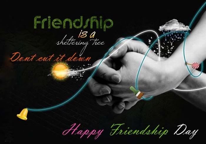 awesome and beautiful pictures of friendship day15