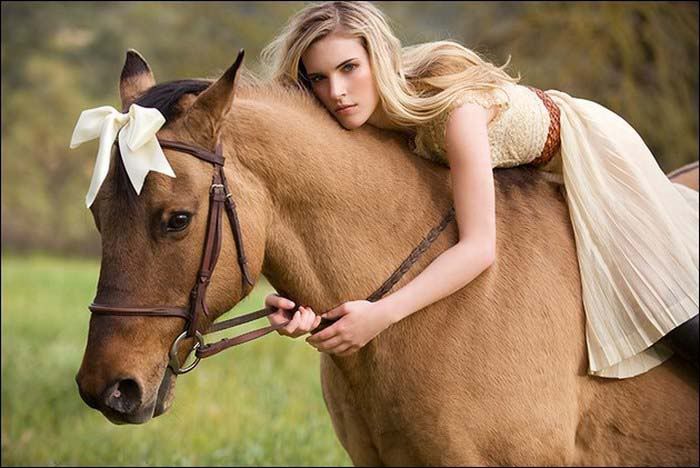 beautiful pictures of horse9