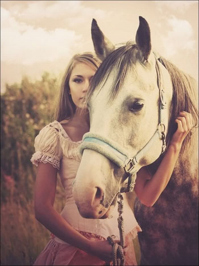 beautiful pictures of horse6