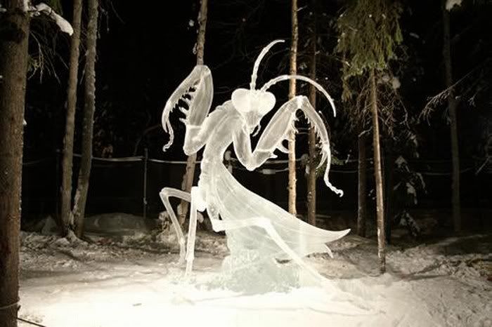 funny ice sculptures pictures6