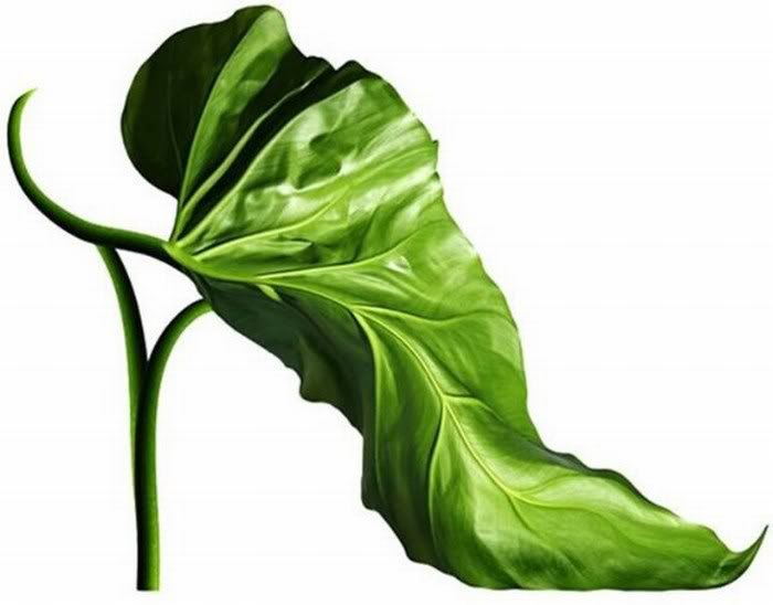 funny nature shoes picture 4