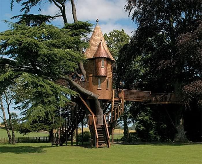 funny tree house pictures6