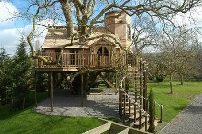funny tree house pictures5