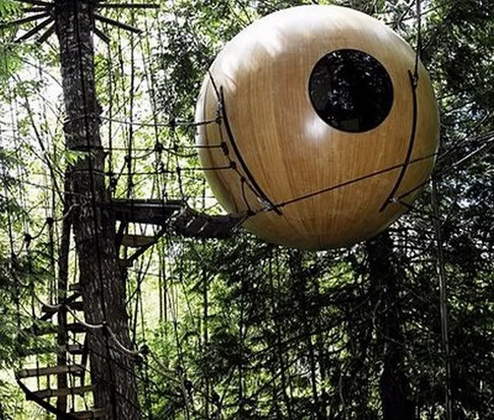 funny tree house pictures4