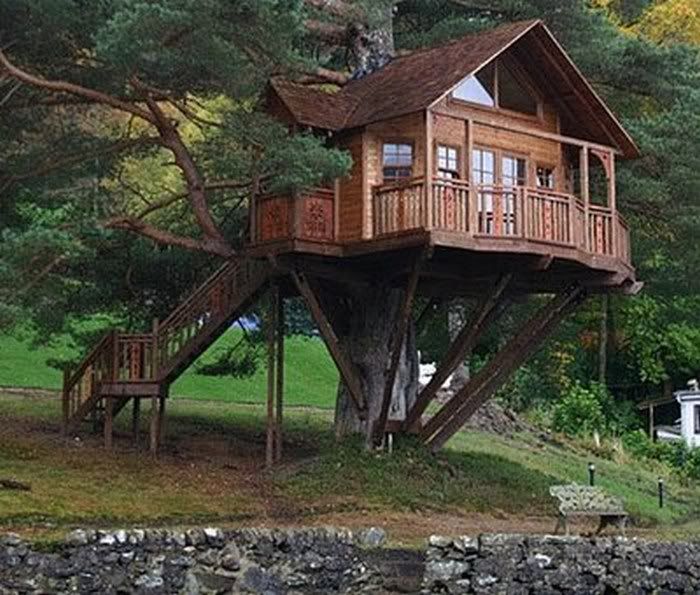 funny tree house pictures3
