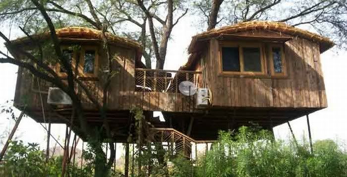 funny tree house pictures2