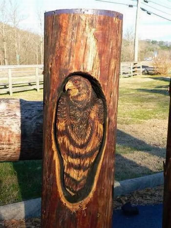 FUNNY PICTURES OF W00D CARVING ART1