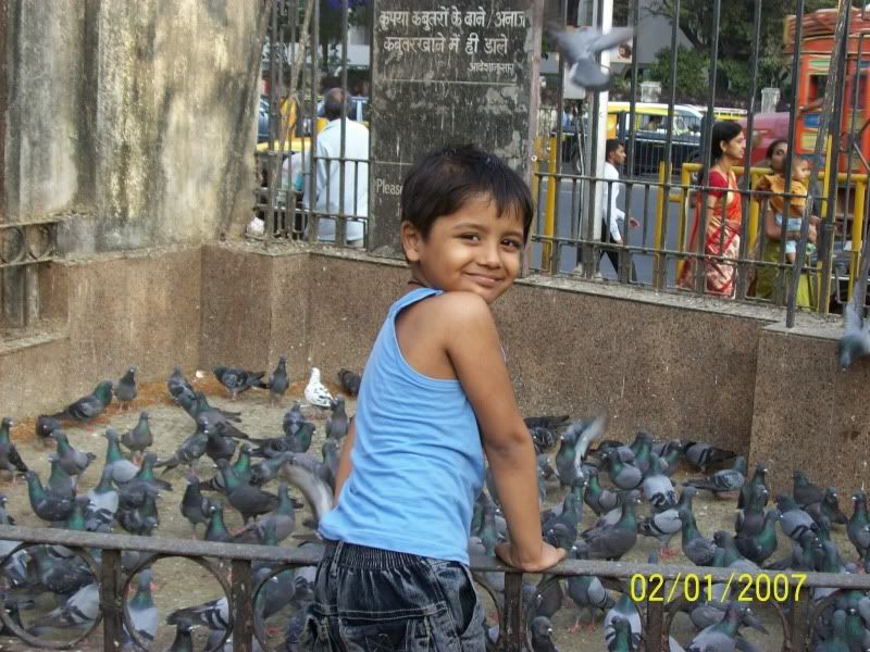 Cute boy Smiling with Birds