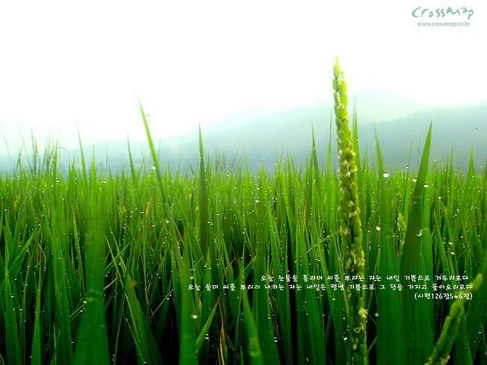 ible verses wallpaper. p4 bible verses wallpaper. ible verses wallpaper. p4