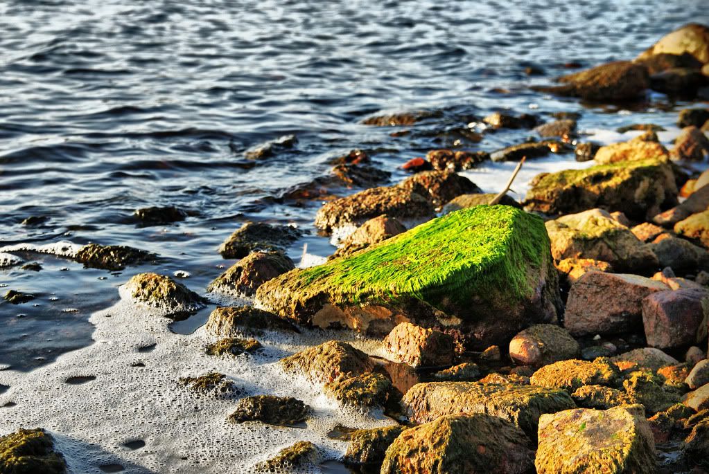 Postad bild