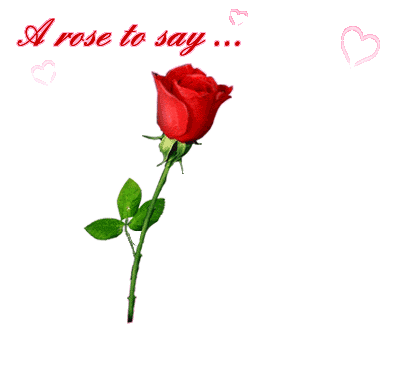 a rose to say i love u